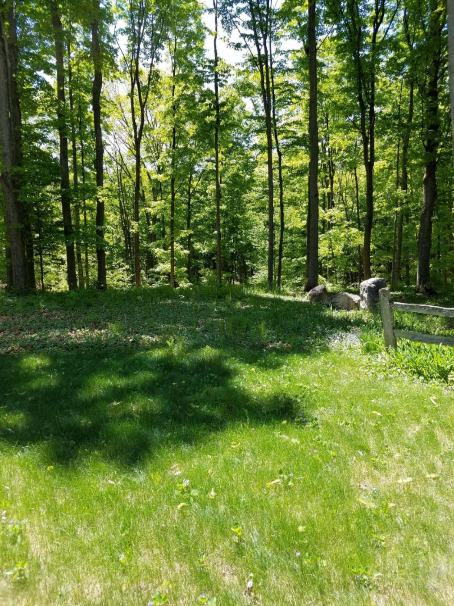 4505 Barney Road Traverse City, MI 49684 - Photo 20 of 56 Front Lawn