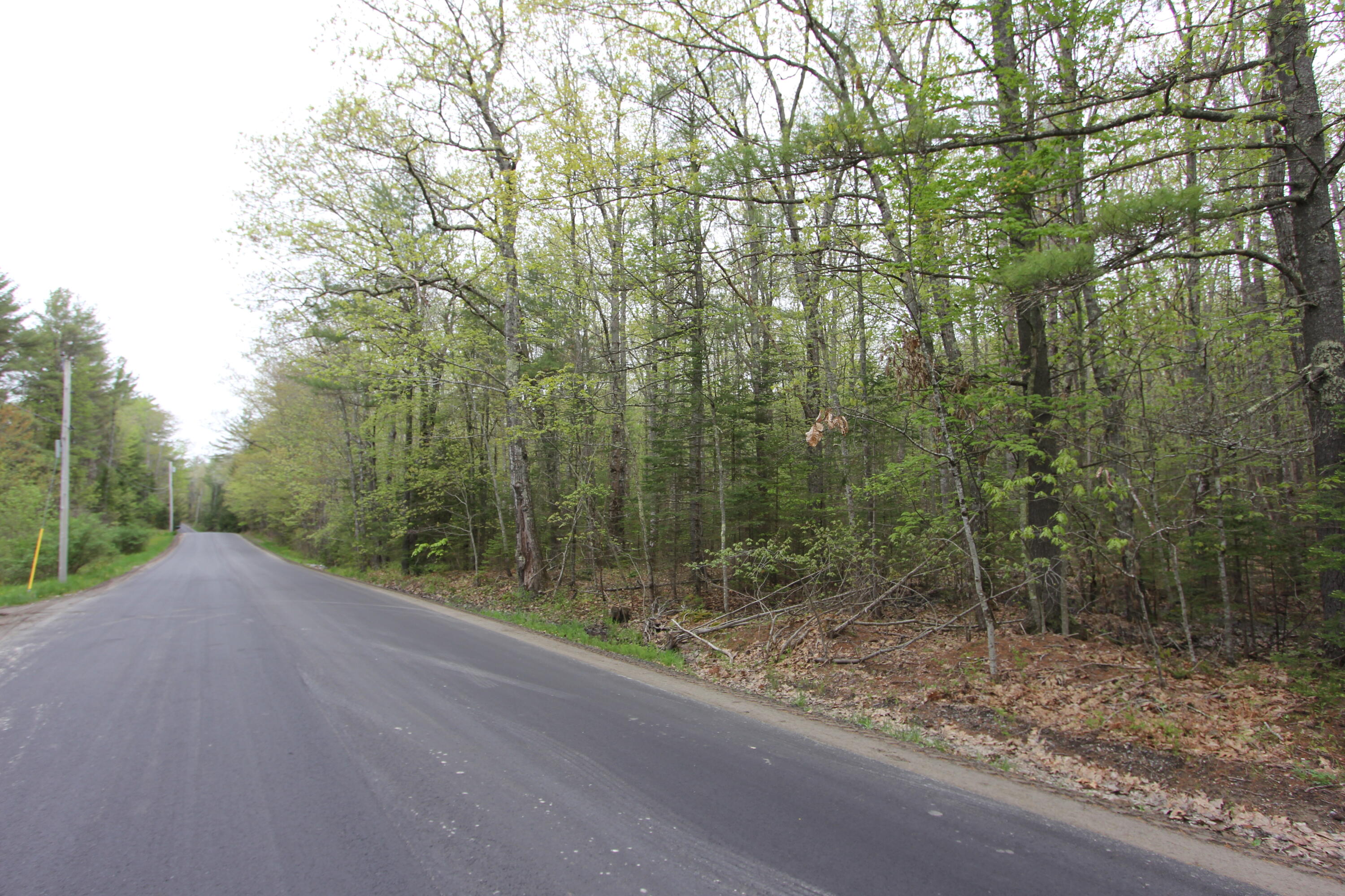 Lot 56 Carding Machine Road Bowdoinham, ME 04008 - Photo 4 of 9 IMG_9934