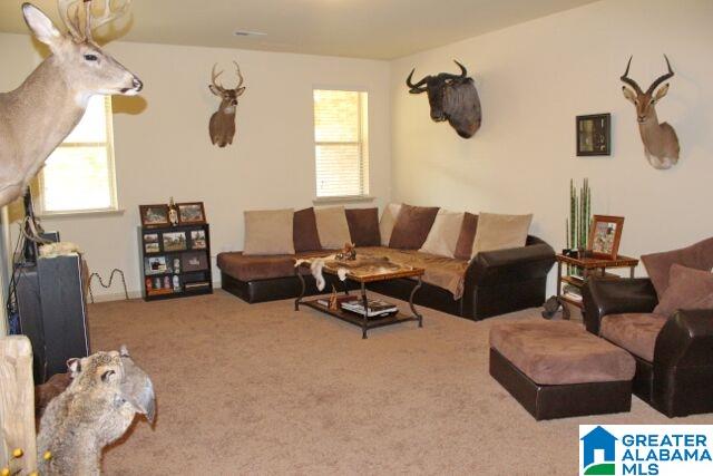 5055 Baxter Road Springville, AL 35146 - Photo 32 of 45