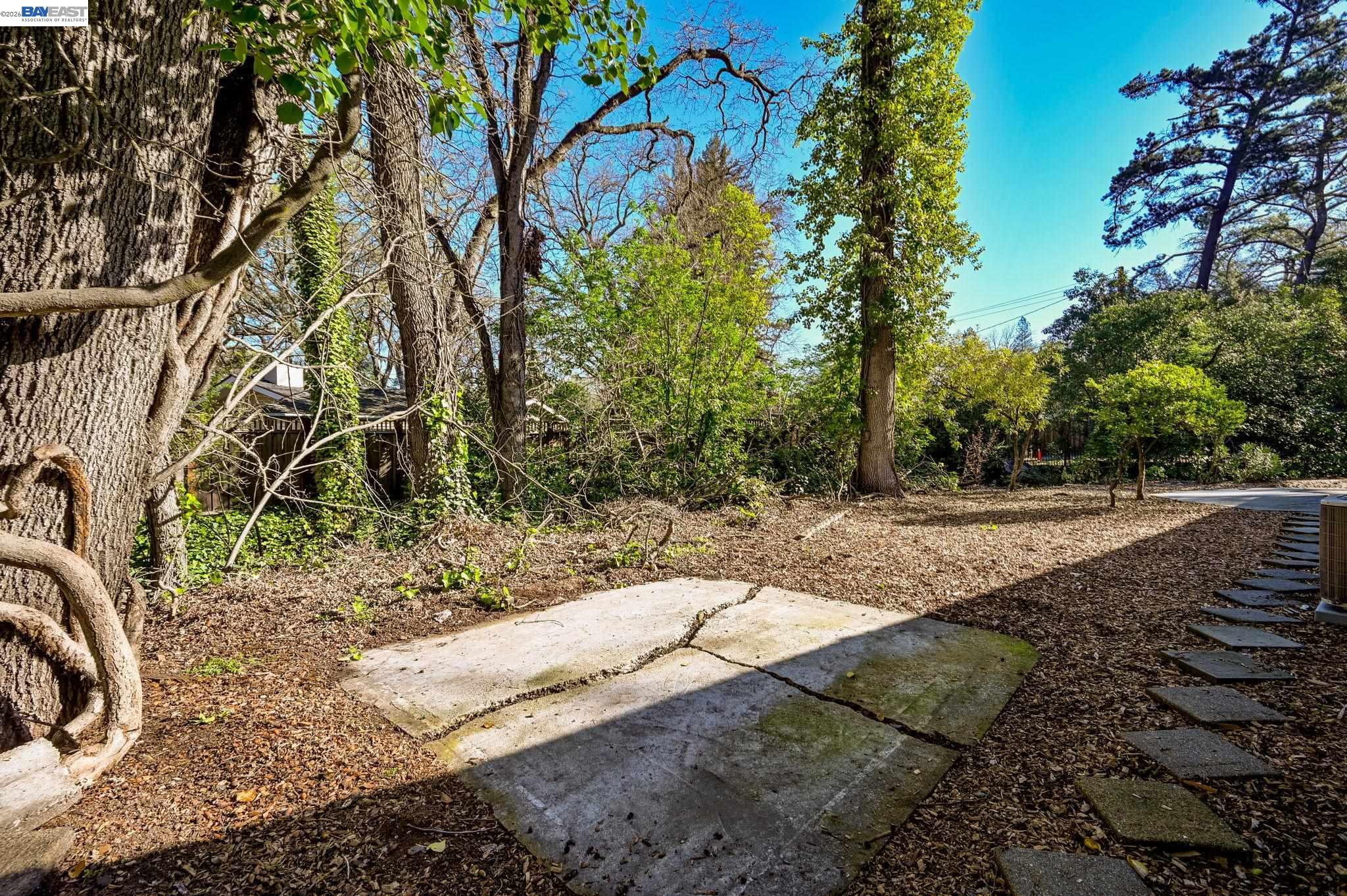 1016 Stone Valley Road Alamo, CA 94507 - Photo 24 of 26