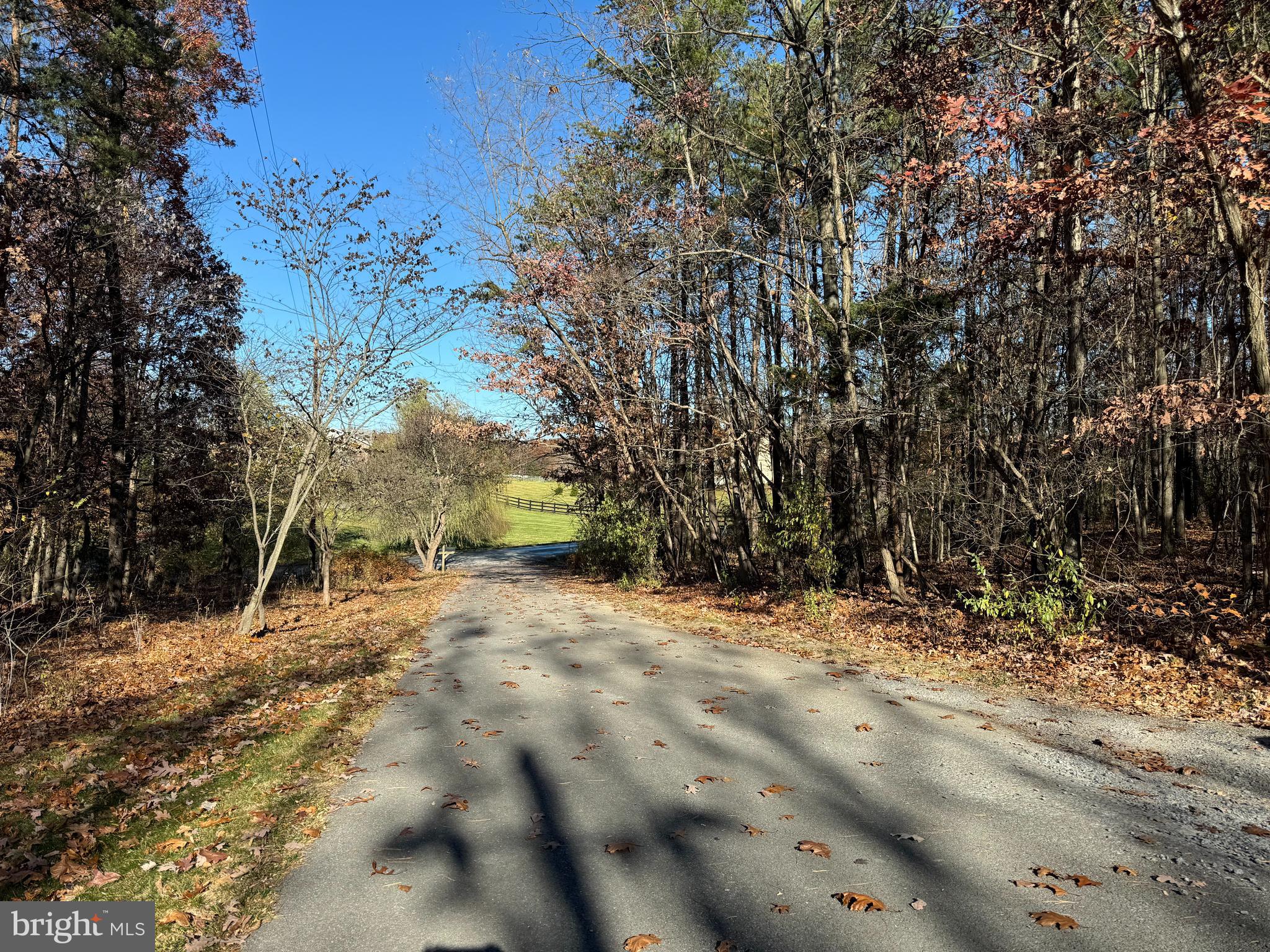 Lot 1 Fishel Road Winchester, VA 22602 - Photo 1 of 7 Entrance off Fishel Rd - Easement