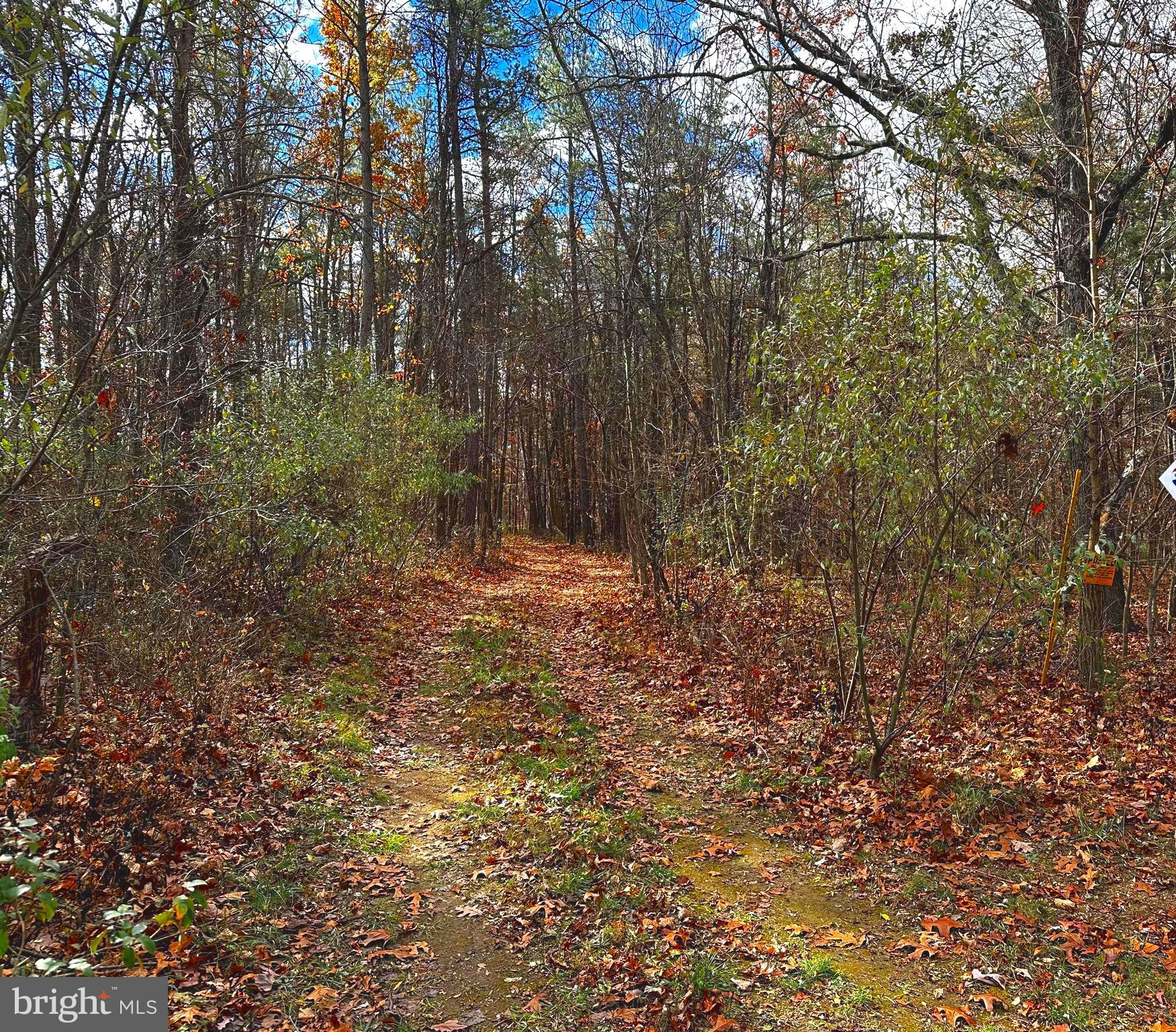 Lot 1 Fishel Road Winchester, VA 22602 - Photo 3 of 7