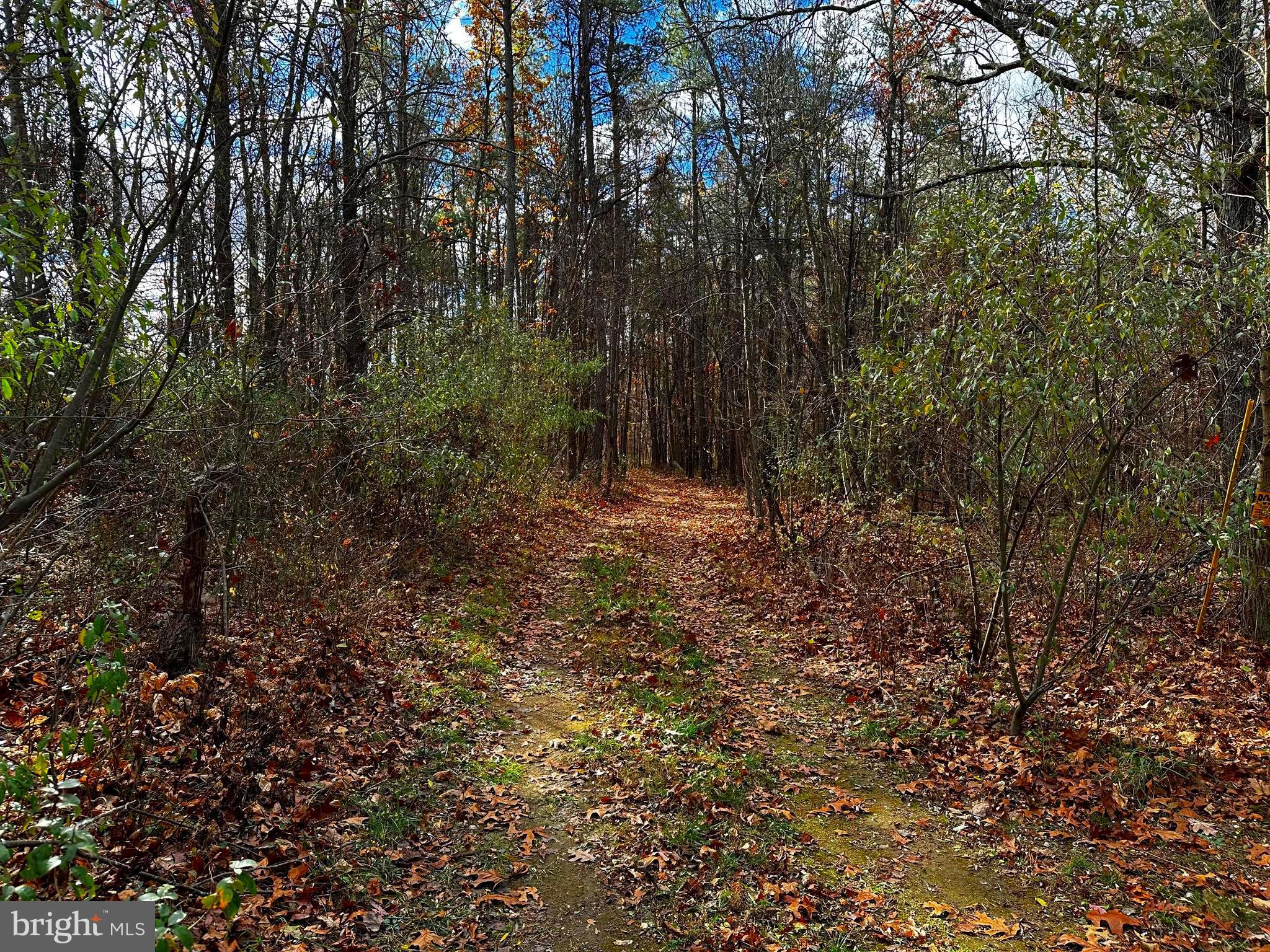 Lot 1 Fishel Road Winchester, VA 22602 - Photo 4 of 7