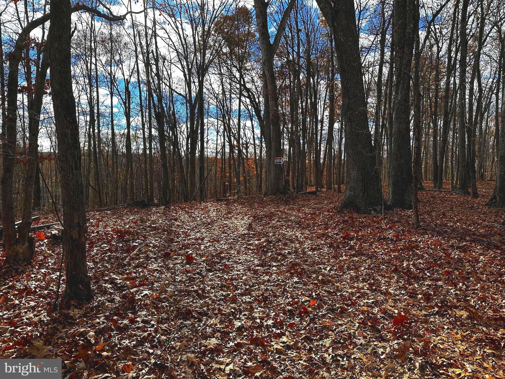 Lot 1 Fishel Road Winchester, VA 22602 - Photo 5 of 7