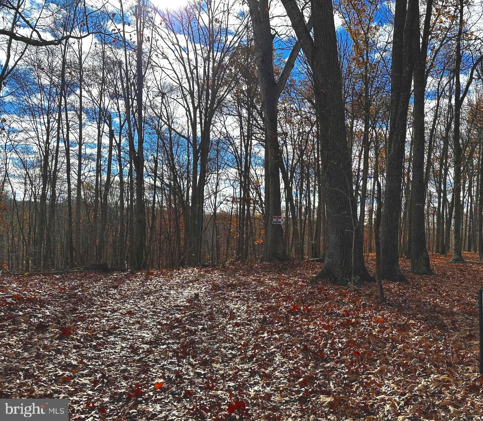Lot 1 Fishel Road Winchester, VA 22602 - Photo 6 of 7