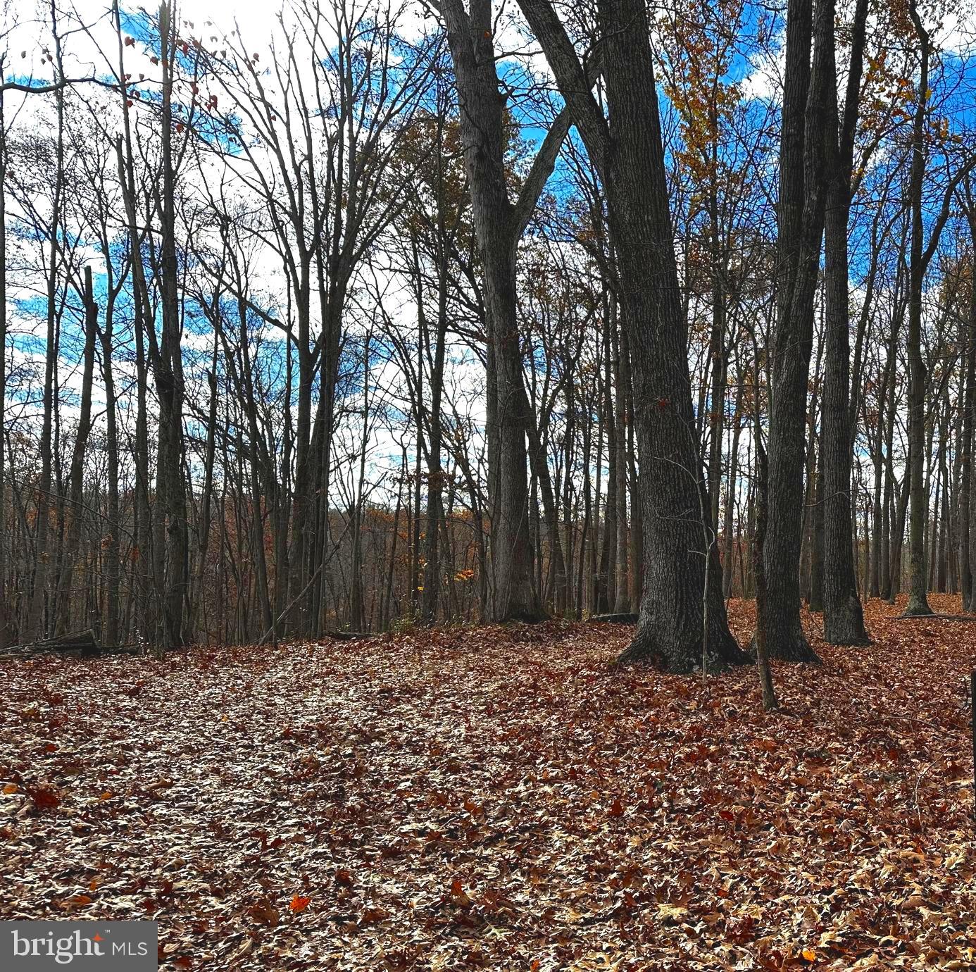 Lot 1 Fishel Road Winchester, VA 22602 - Photo 7 of 7