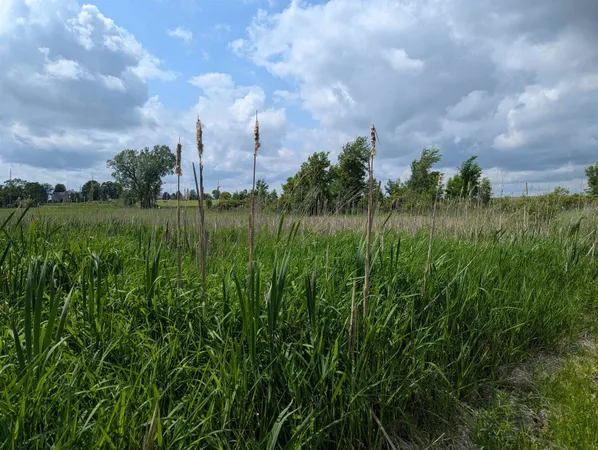 $375,000 | W11851 Highway 16/60 Columbus Wi 53925, Columbus, WI 53925