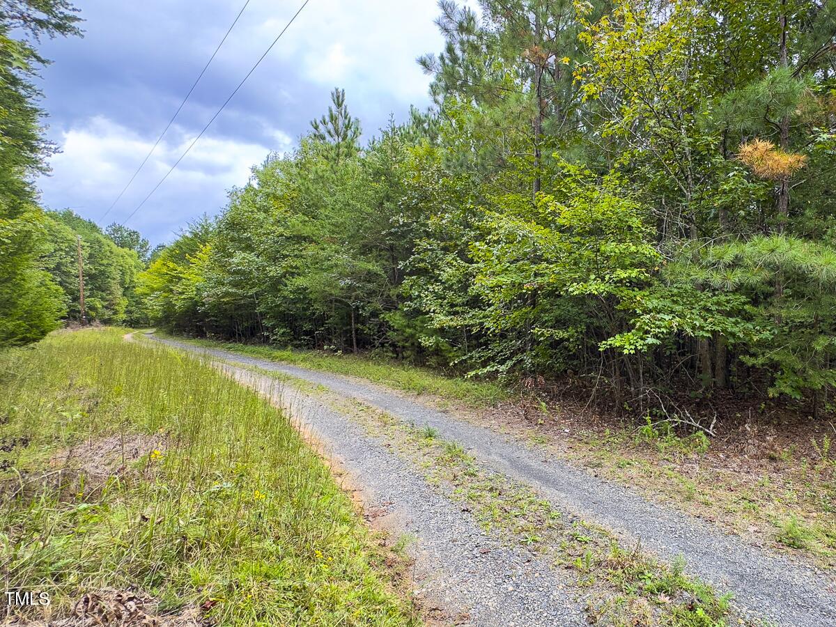 Lot-8-00 Wilson Road Providence, NC 27315 - Photo 8 of 45 Caswell Co. NC 16.55-Backwoods-Lot 8-08