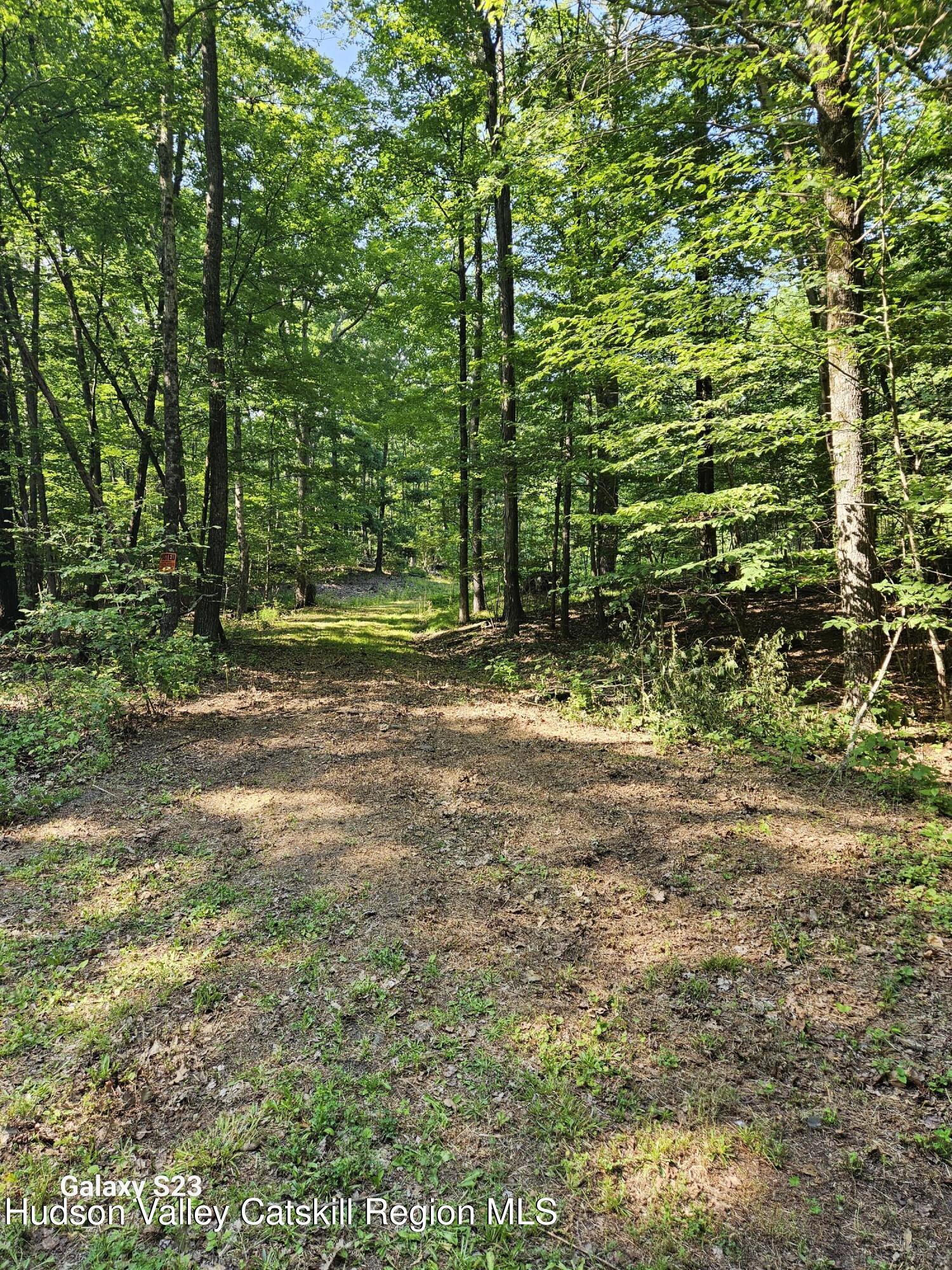 0 Hearts Content Road Catskill, NY 12414 - Photo 18 of 21 20260711_165121