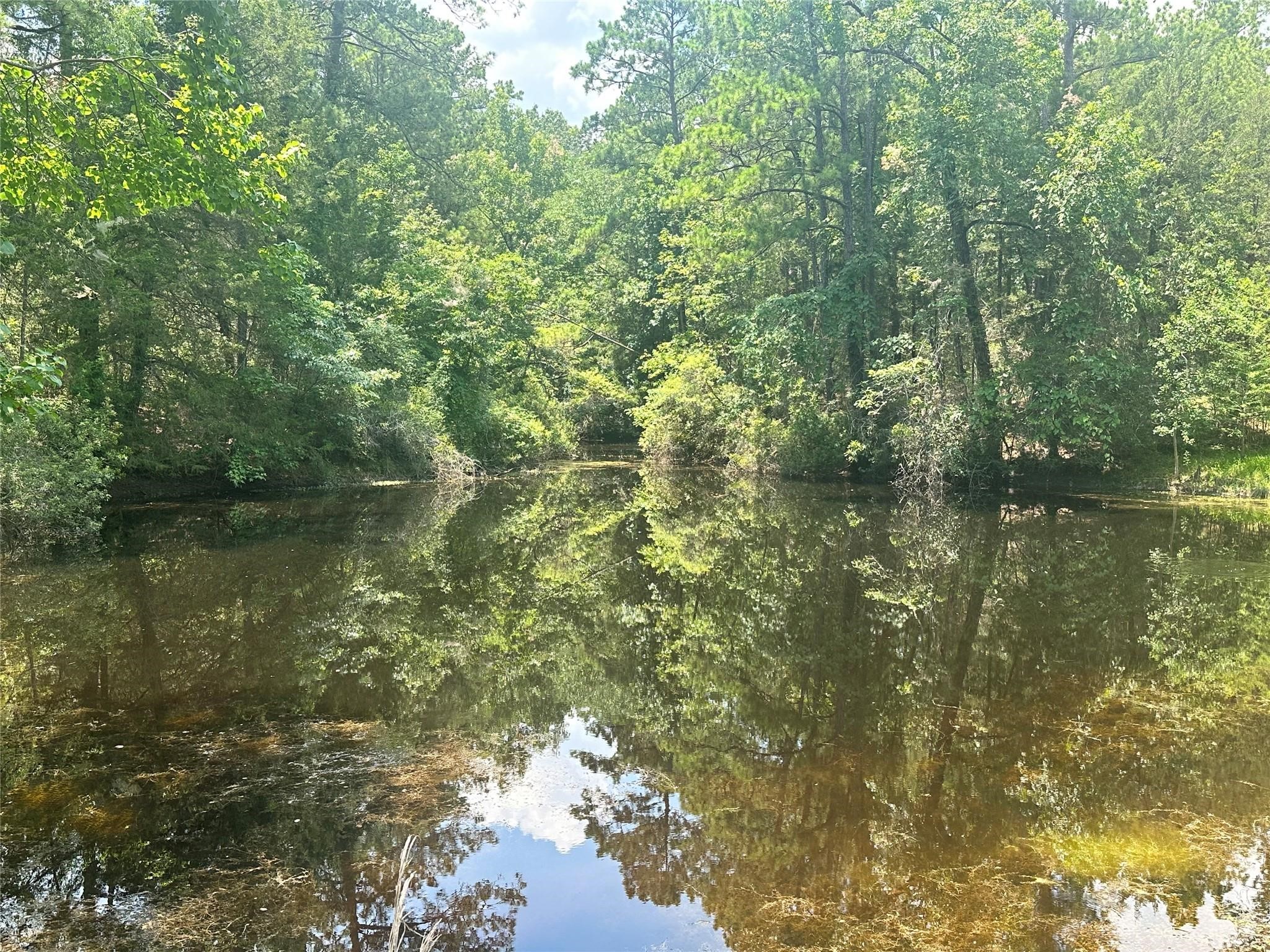 222 County Road 3085 Colmesneil, TX 75938 - Photo 2 of 50 a view of lake