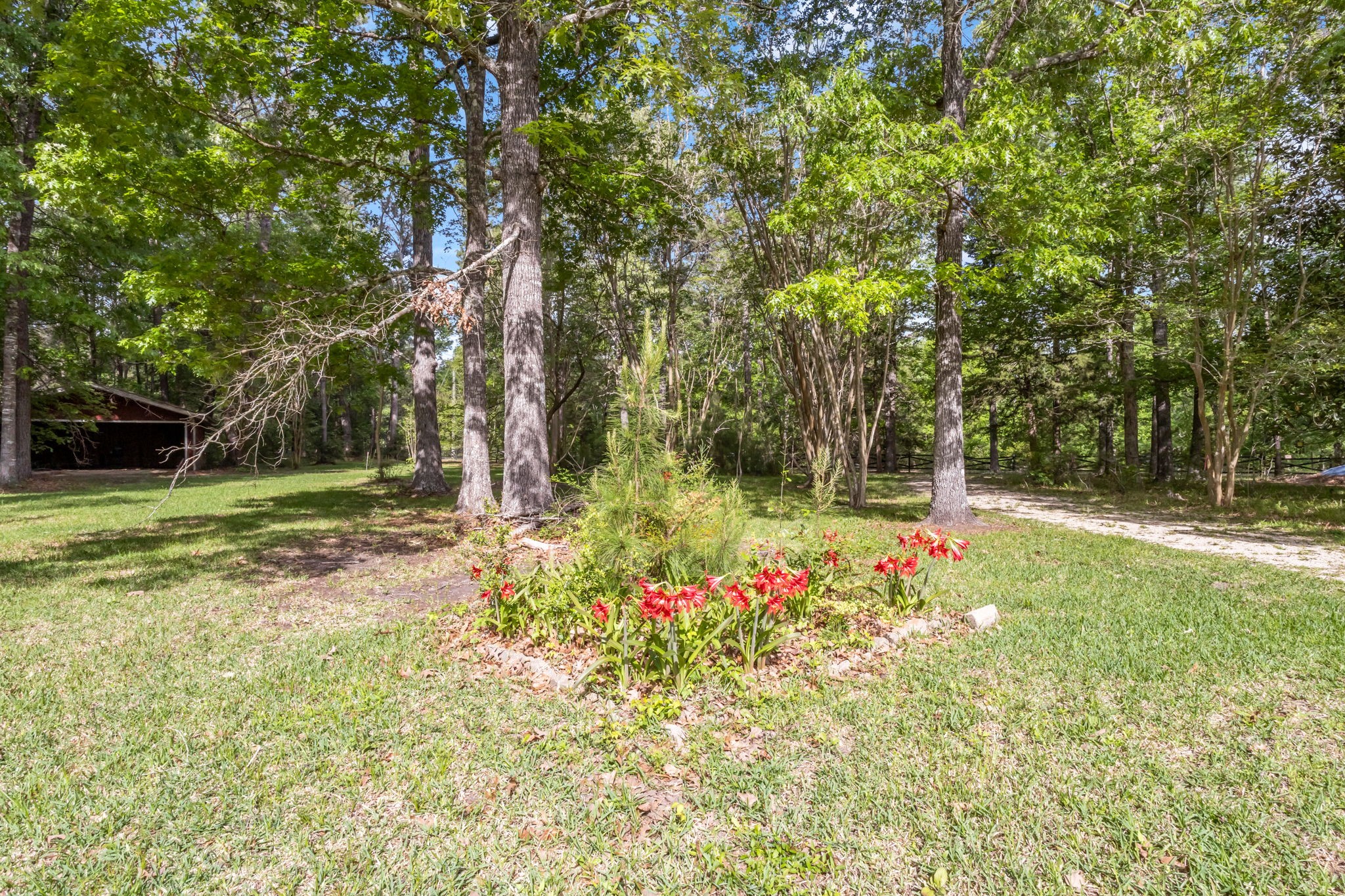222 County Road 3085 Colmesneil, TX 75938 - Photo 38 of 50 a garden with flowers and trees