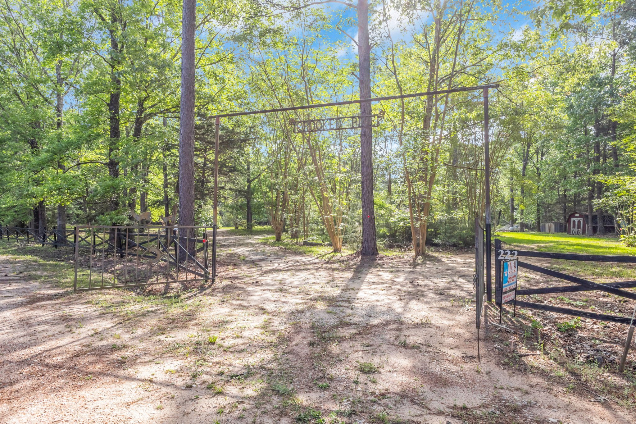 222 County Road 3085 Colmesneil, TX 75938 - Photo 44 of 50 a view of a yard with plants and trees