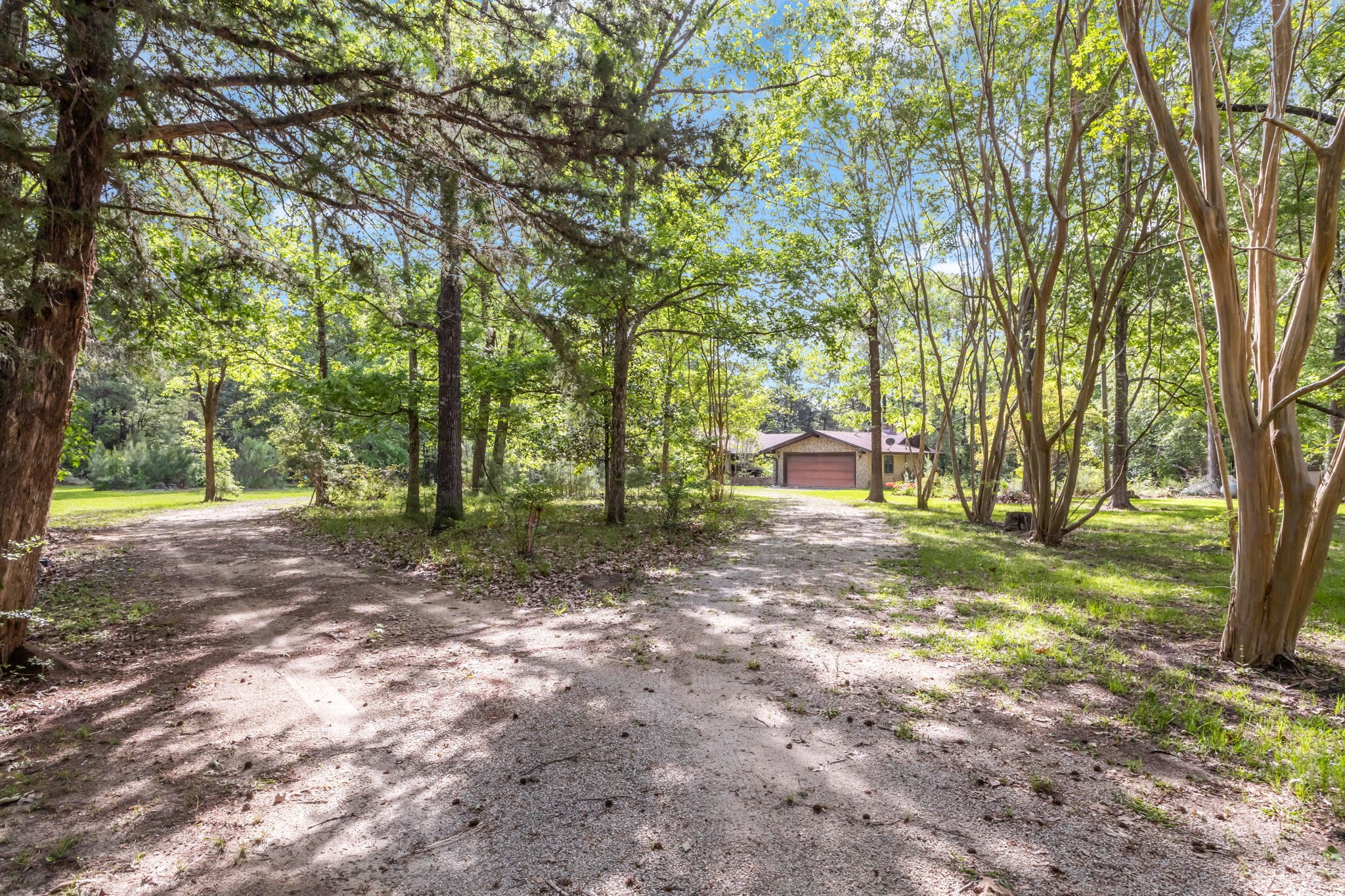 222 County Road 3085 Colmesneil, TX 75938 - Photo 45 of 50 a view of a yard with a tree