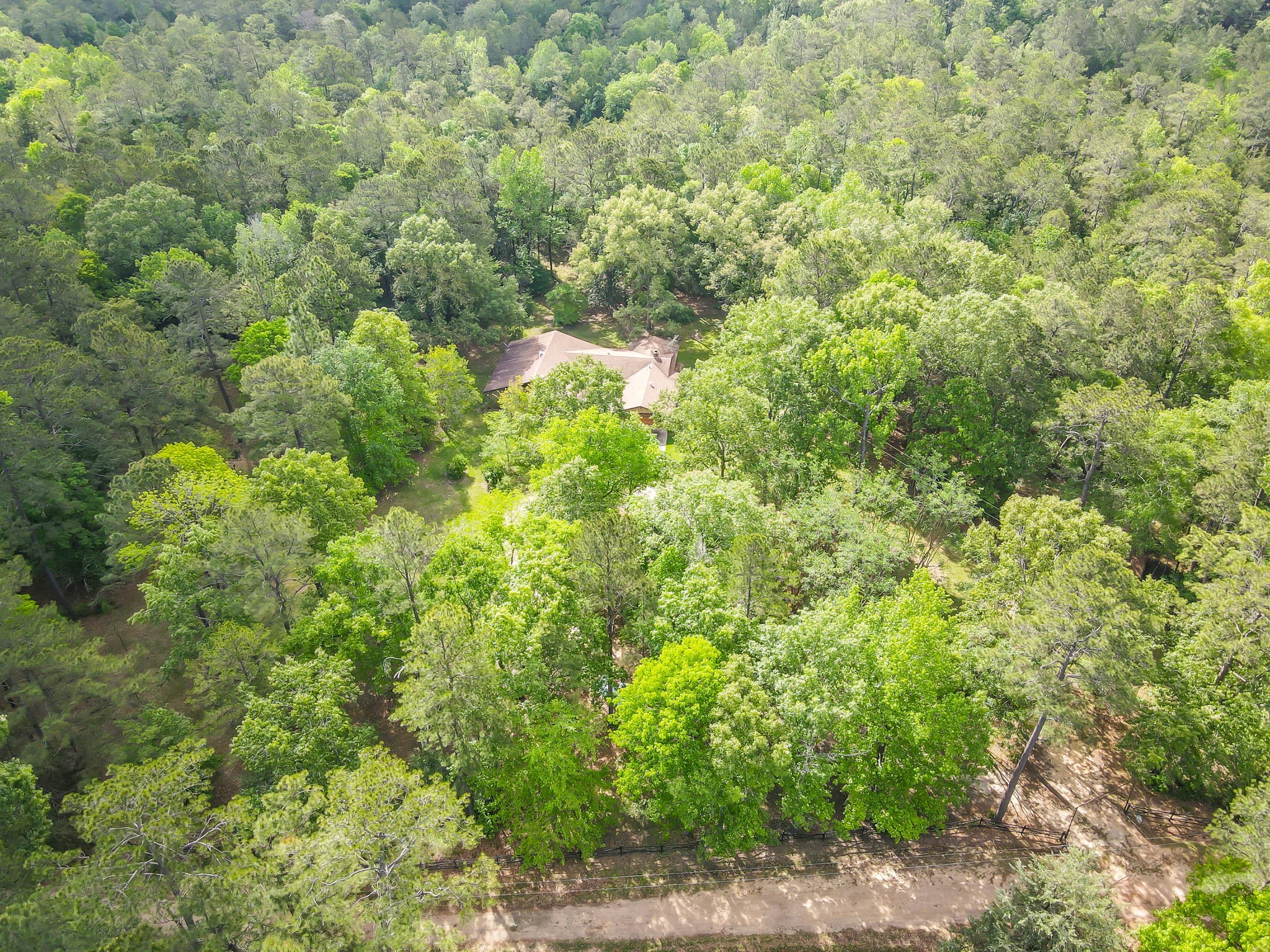 222 County Road 3085 Colmesneil, TX 75938 - Photo 46 of 50 a view of a large yard with lots of bushes