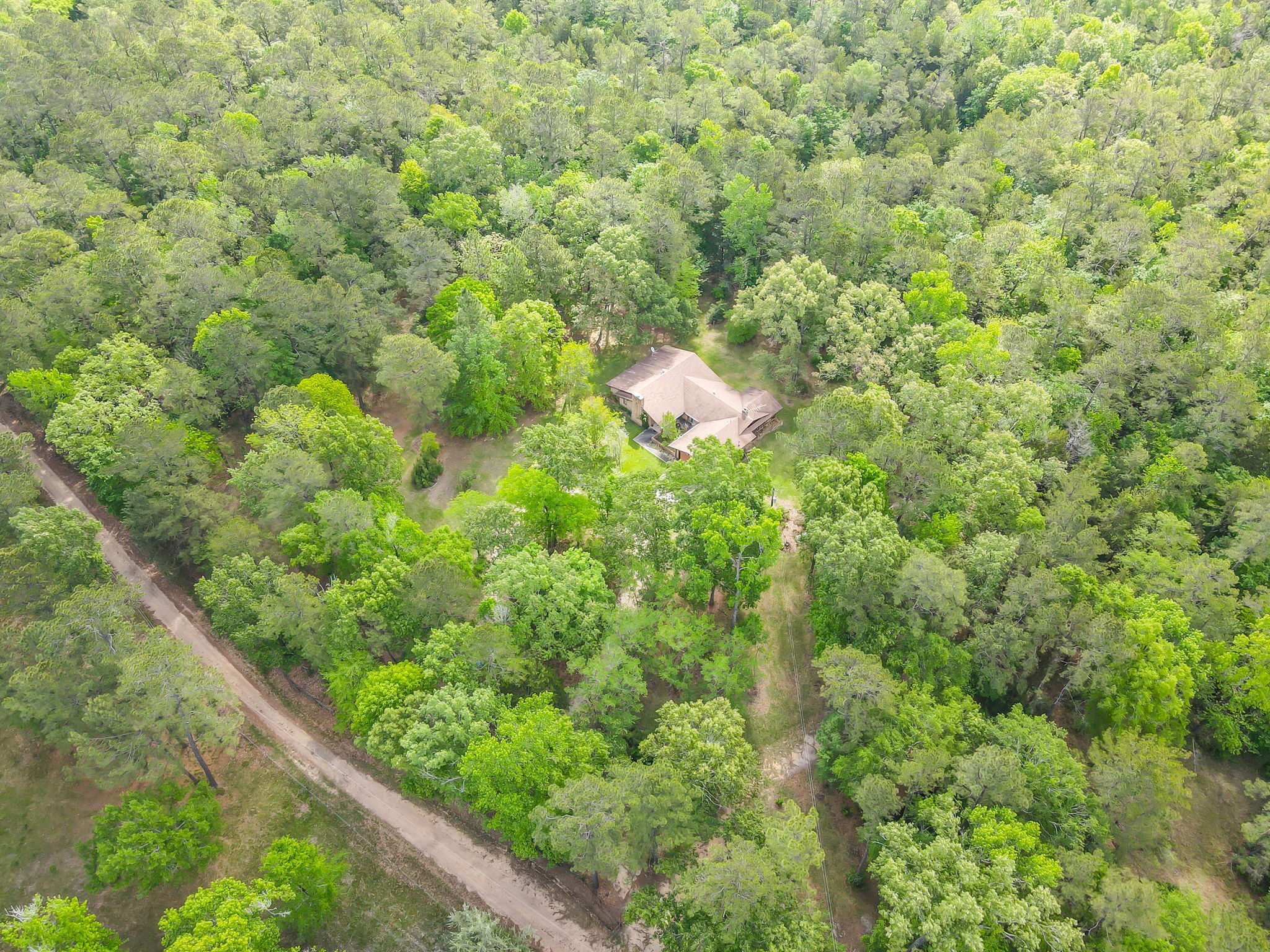 222 County Road 3085 Colmesneil, TX 75938 - Photo 48 of 50 a view of a garden with a tree