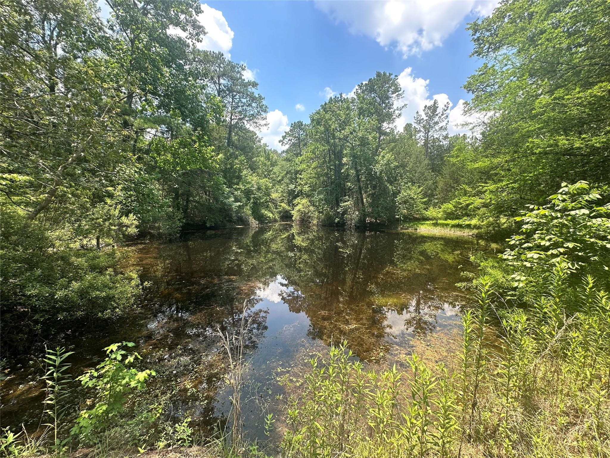 222 County Road 3085 Colmesneil, TX 75938 - Photo 50 of 50 a view of lake with green space