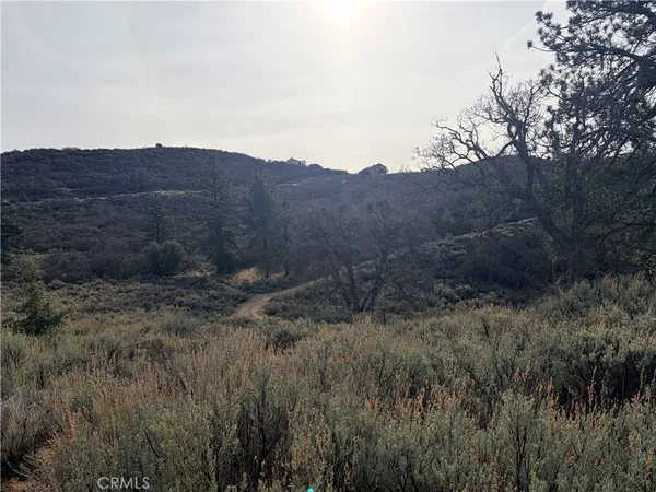 a view of a dry field