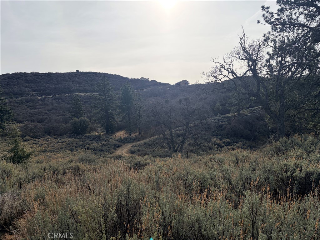 23131 Constance Way Tehachapi, CA 93561 - Photo 16 of 18 a view of a dry field