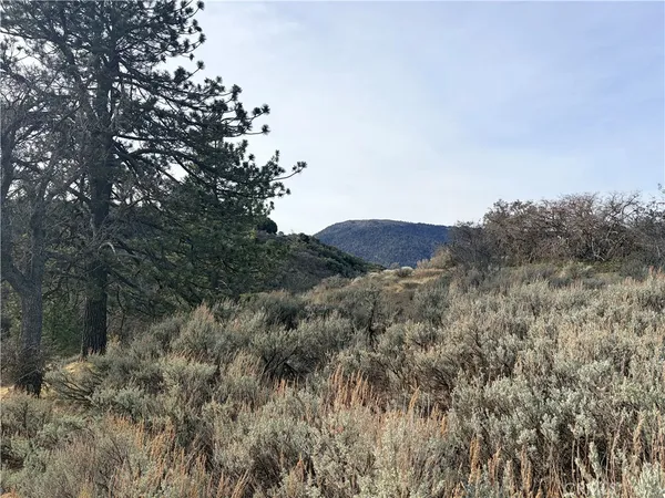 a view of a mountain range with trees in the background