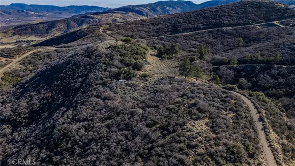 a view of a dry yard with trees and mountain
