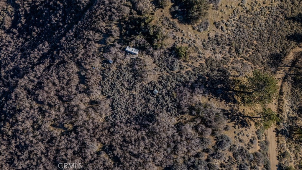 23131 Constance Way Tehachapi, CA 93561 - Photo 6 of 18 a view of a tree