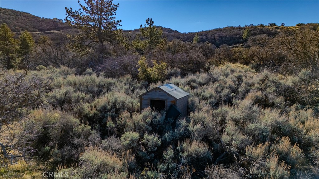 23131 Constance Way Tehachapi, CA 93561 - Photo 8 of 18 a view of a house with a mountain and a forest