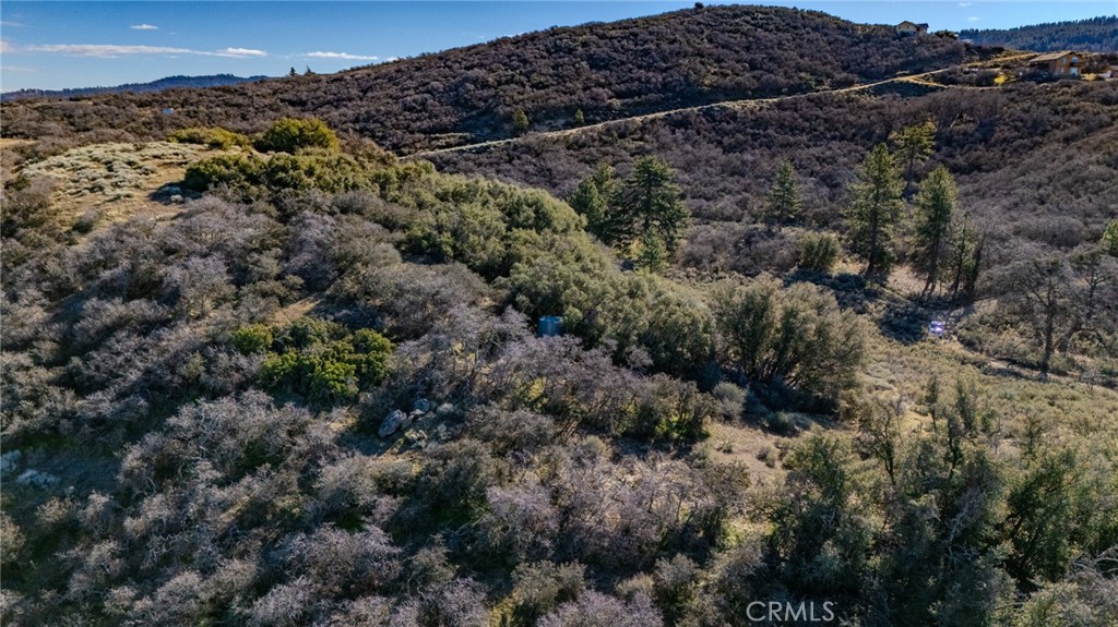 23131 Constance Way Tehachapi, CA 93561 - Photo 10 of 18 a view of a yard