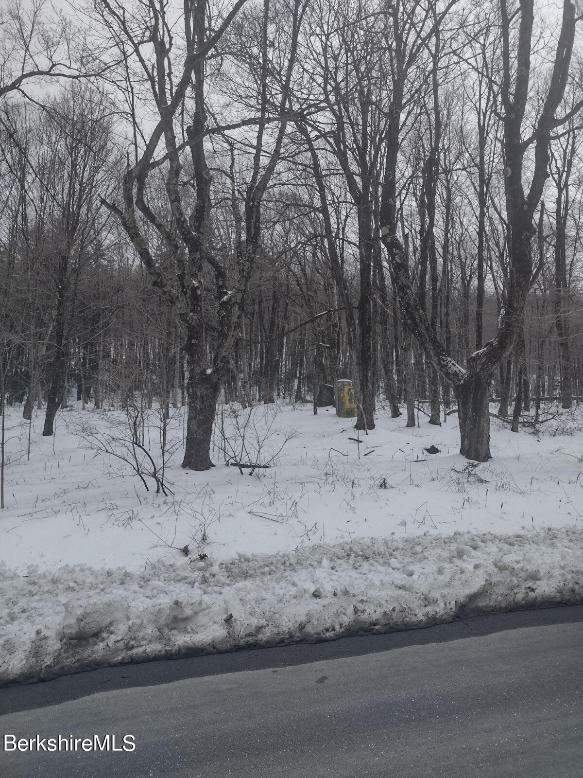 Tilda Hill Road North Adams, MA 01247 - Photo 6 of 8 IMG_20240326_164403 (2)