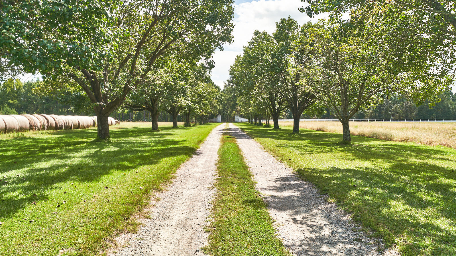 1890 Ashemont Road Aberdeen, NC 28315 - Photo 49 of 49 1890 Ashemont Rd., Aberdeen_63