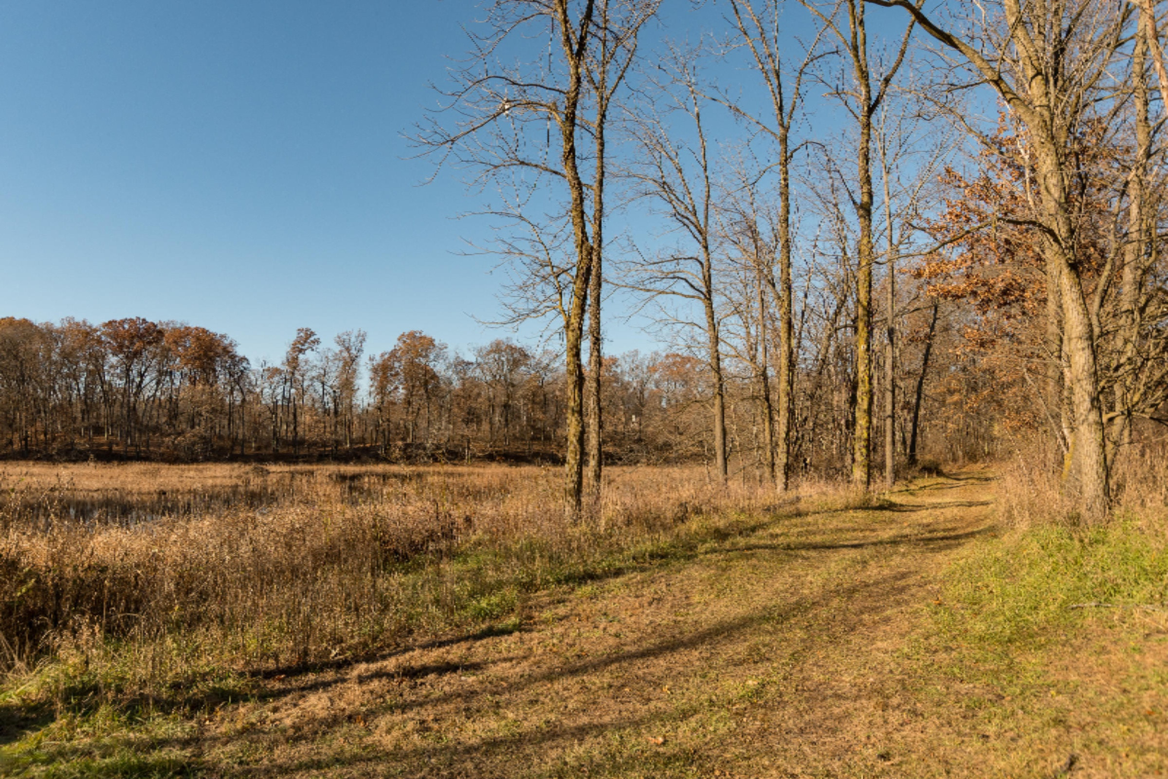 10342 Hoffman Road Marcellus, MI 49067 - Photo 40 of 56 10342 Hoffman-30