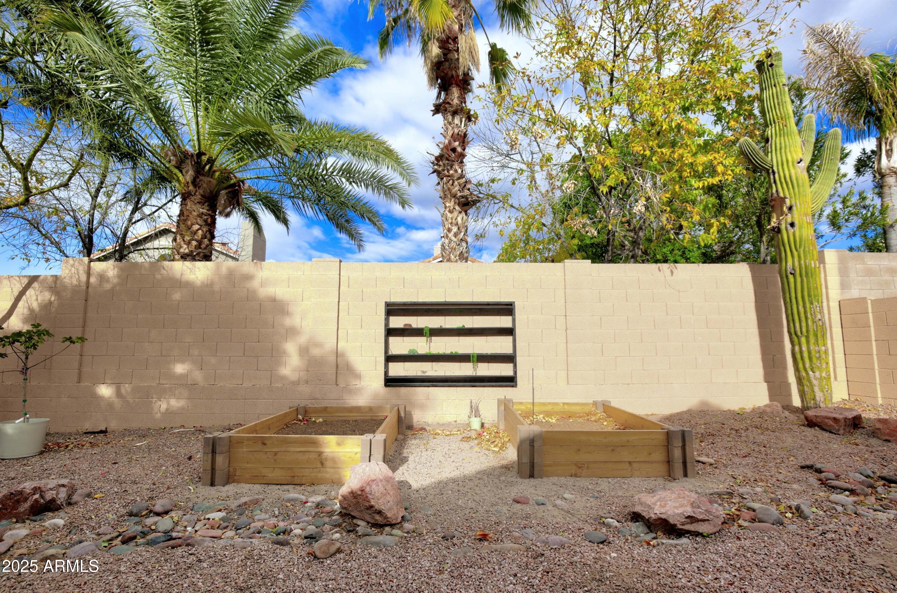 6458 East Raftriver Street Mesa, AZ 85215 - Photo 53 of 75 Backyard