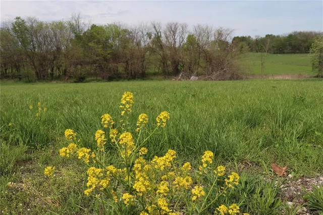 $138,000 | Ssr-b Garden City Mo 64747, Garden City, MO 64747