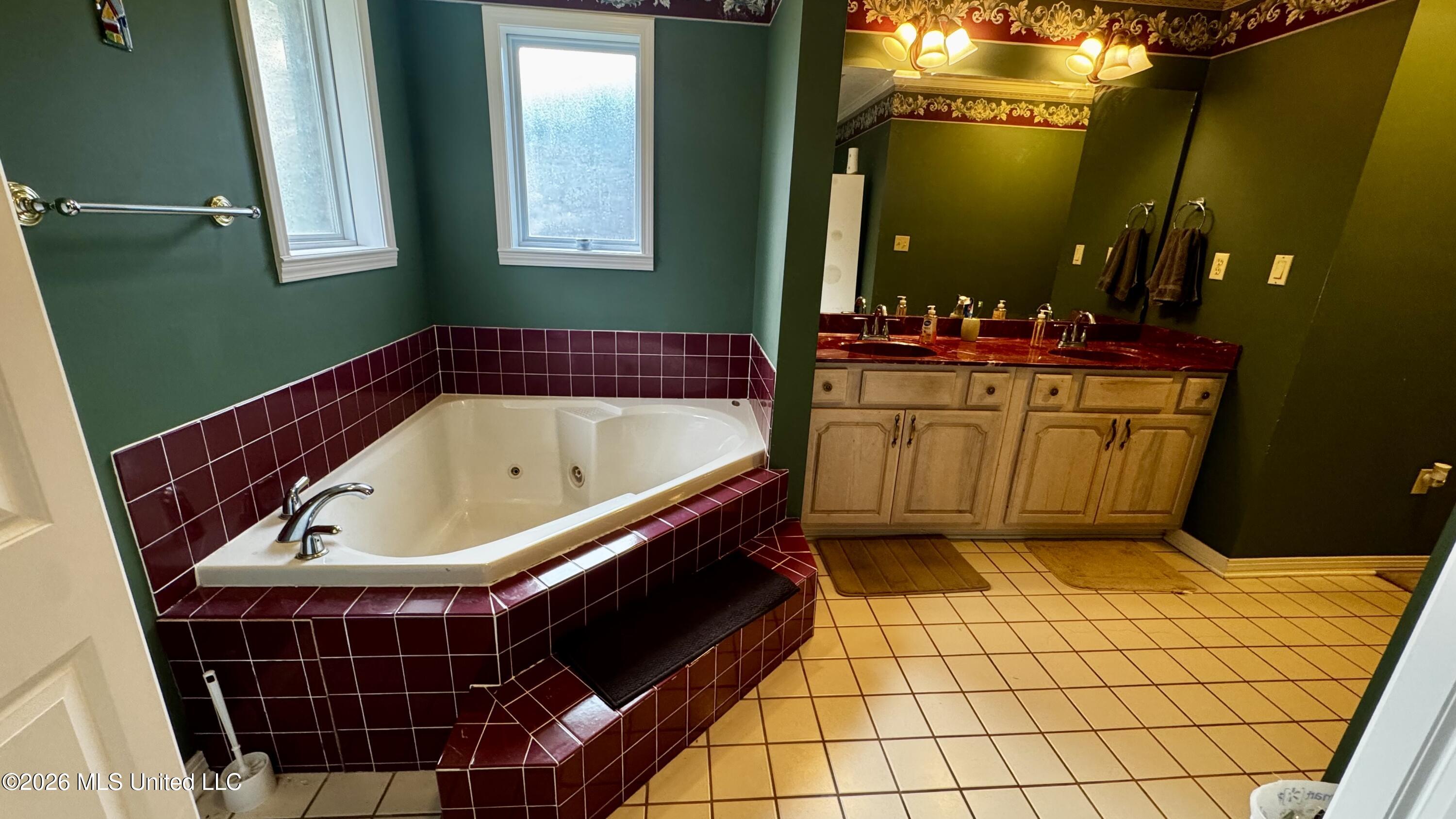 95 West Burnette Road Jayess, MS 39641 - Photo 19 of 27 Jacuzzi sink view