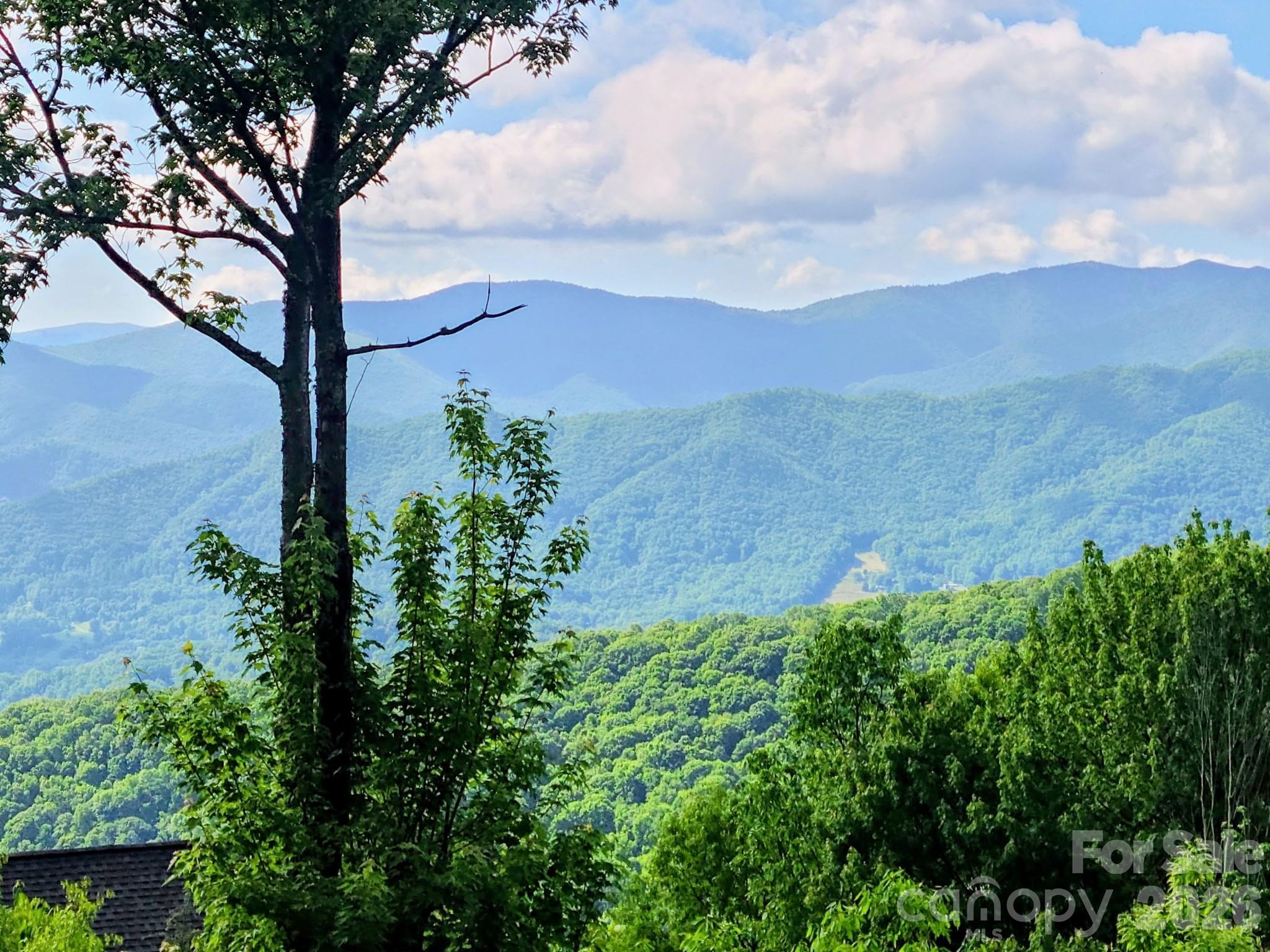 0 Rising Sun Road, Unit 338 Waynesville, NC 28786 - Photo 10 of 18