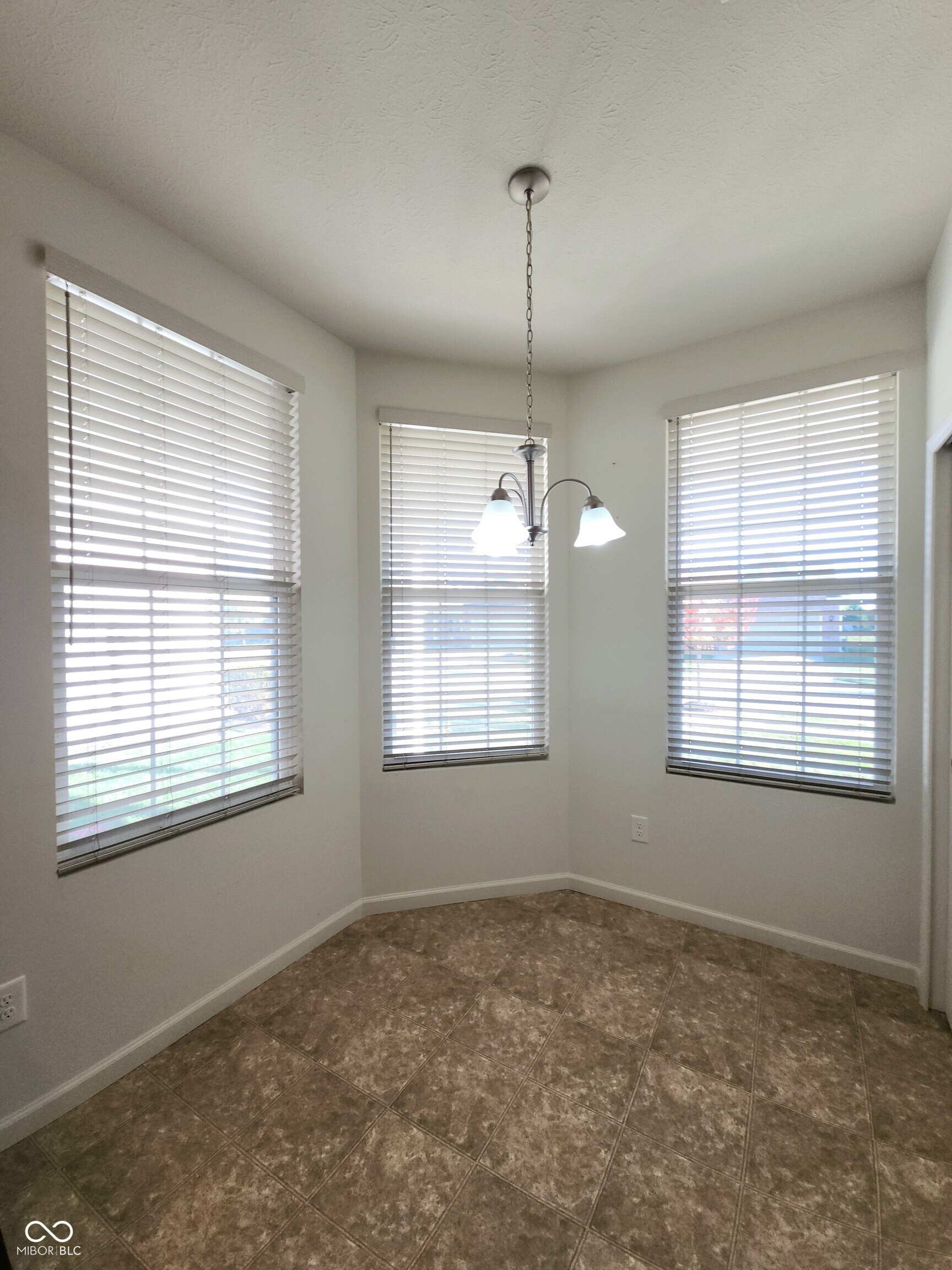 4889 Lilium Drive Plainfield, IN 46168 - Photo 11 of 54