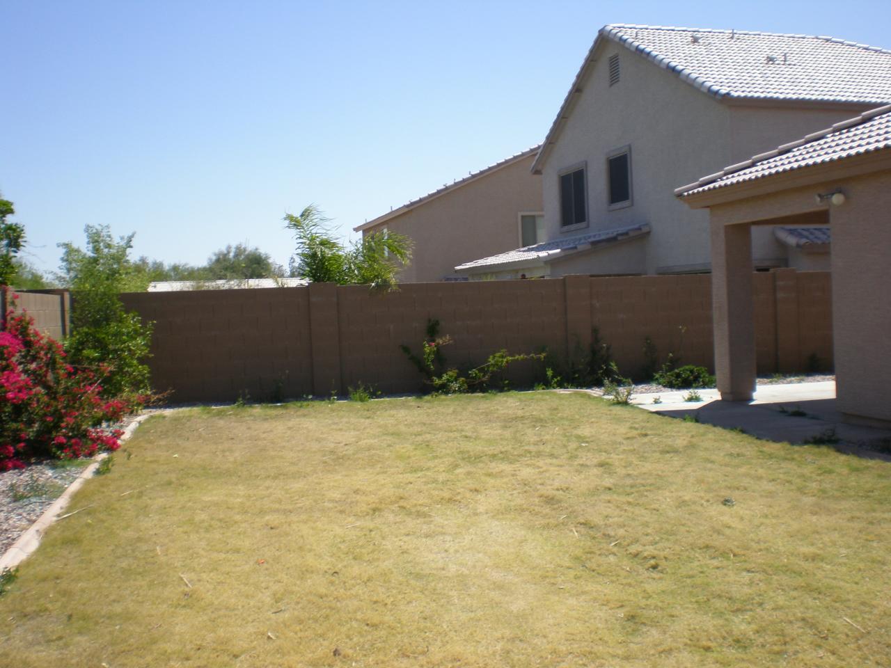 42 Mountain View Road Queen Creek, AZ 85143 - Photo 8 of 9 Spacious Backyard