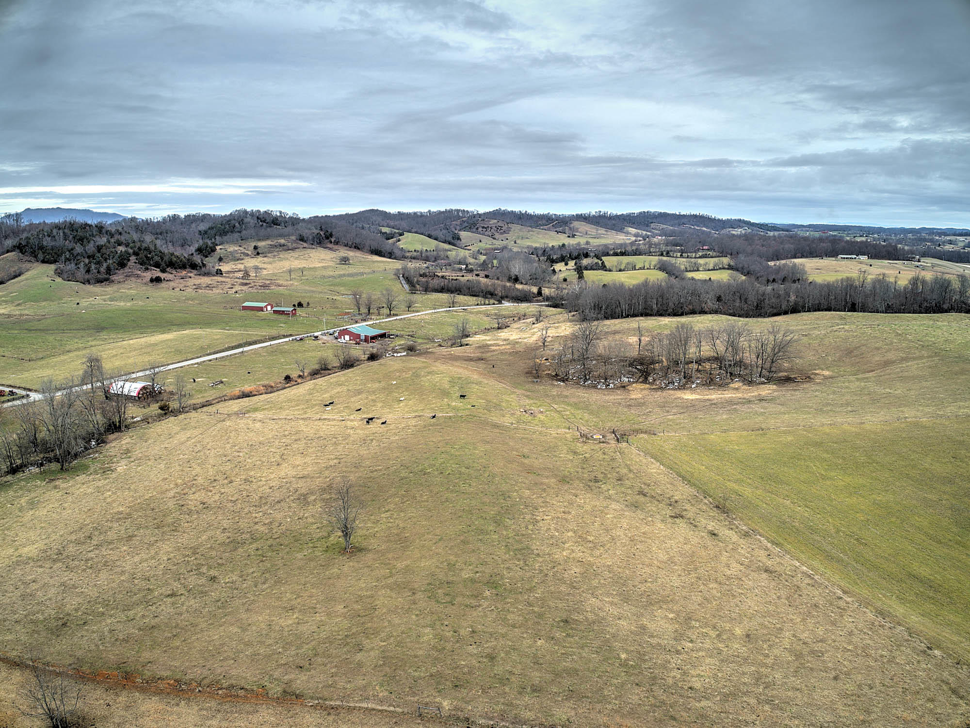 0 Old Milburnton Road Limestone, TN 37681 - Photo 8 of 24 Old Milburnton-9