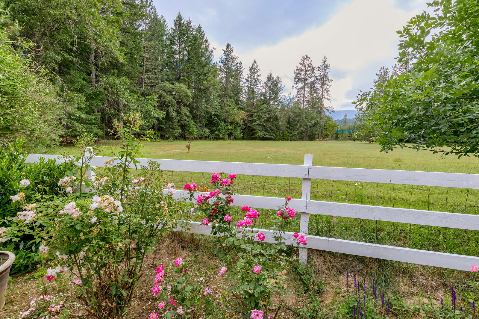 2444 Cedar Flat Road Williams, OR 97544 - Photo 50 of 74 12_CFR_12_mls