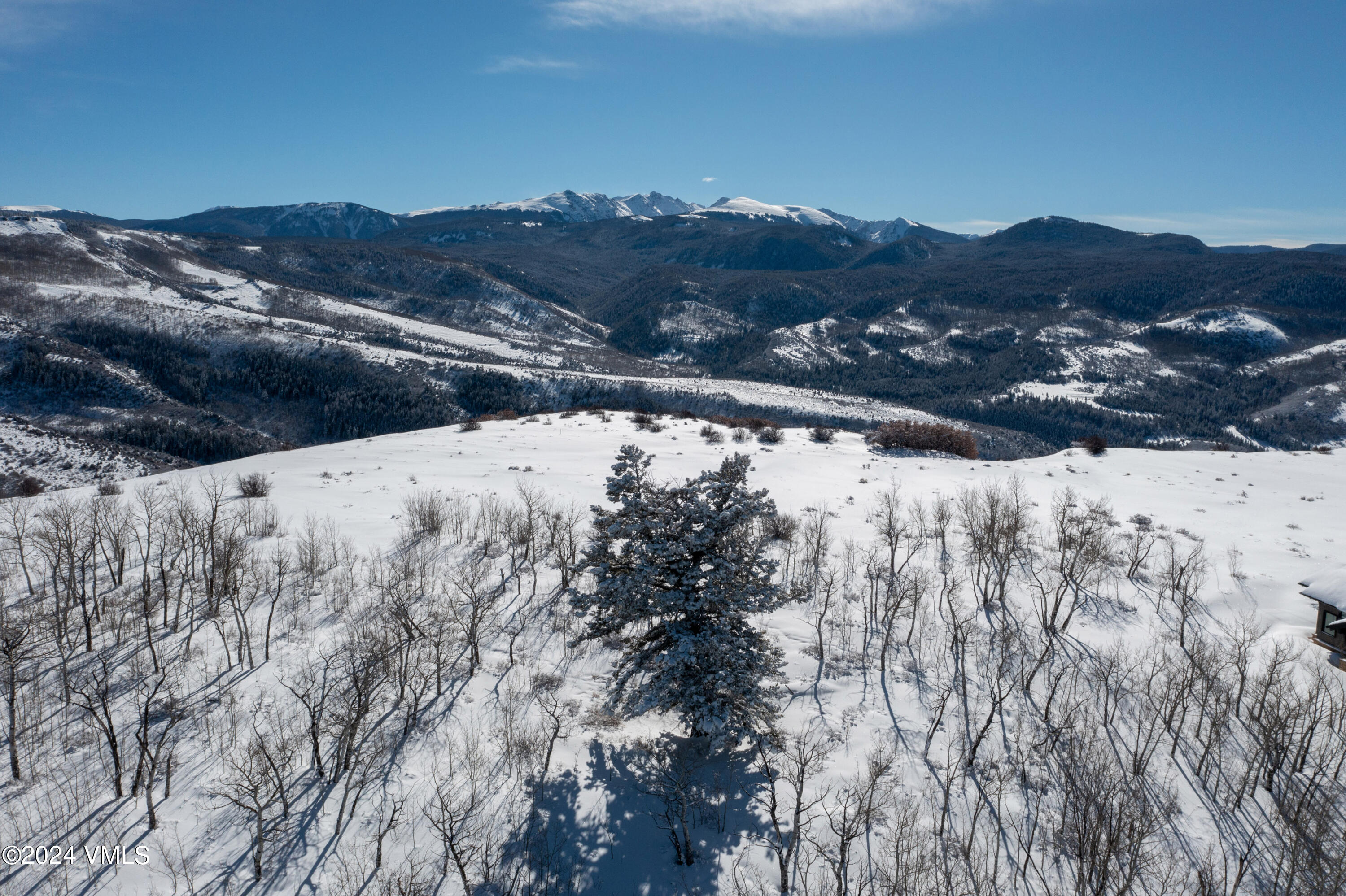 818 Webb Peak Edwards, CO 81632 - Photo 8 of 13 818 Webb Peak 1