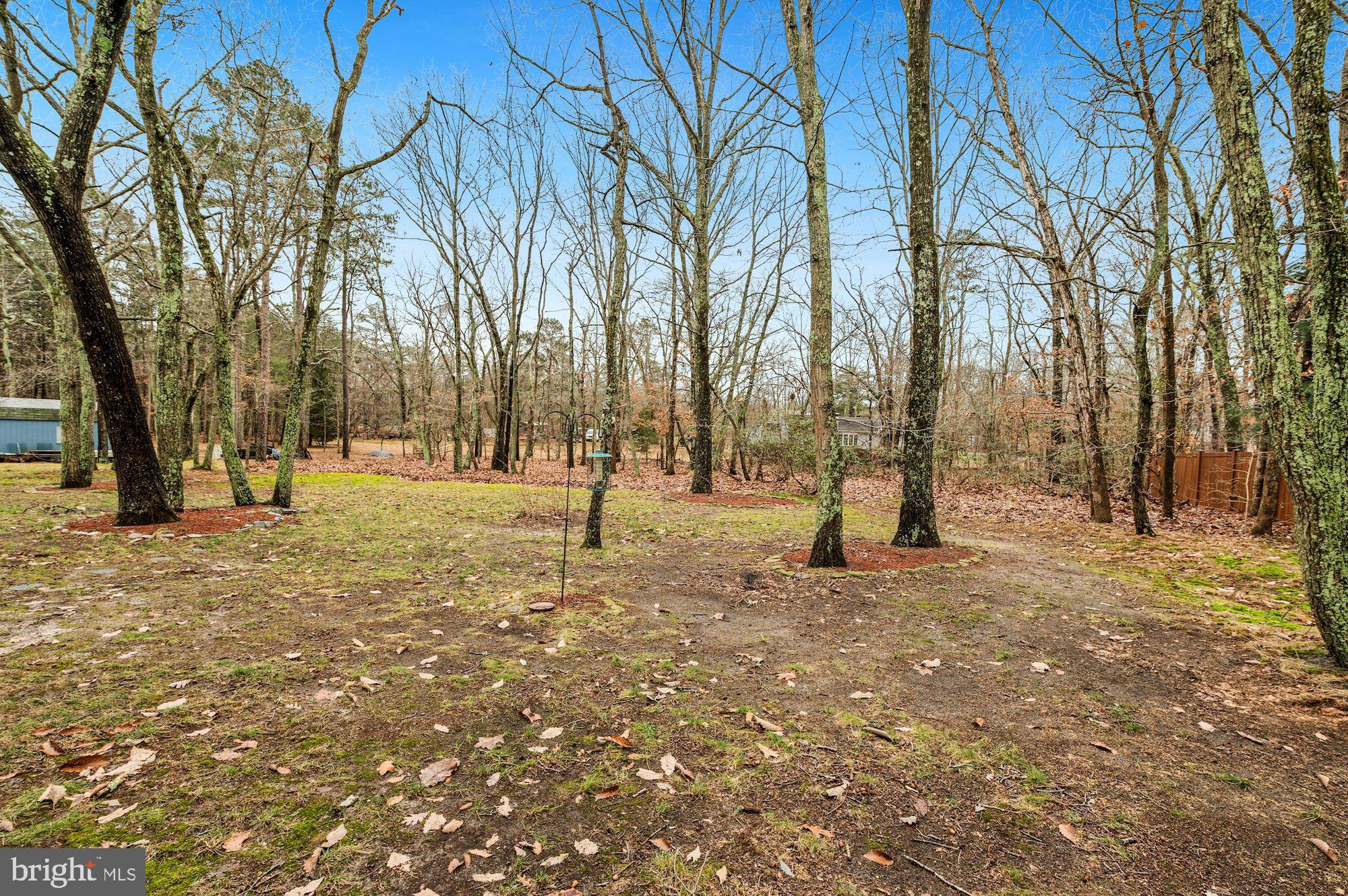 91 Hawkin Road Tabernacle, NJ 08088 - Photo 31 of 33 View of Back Yard