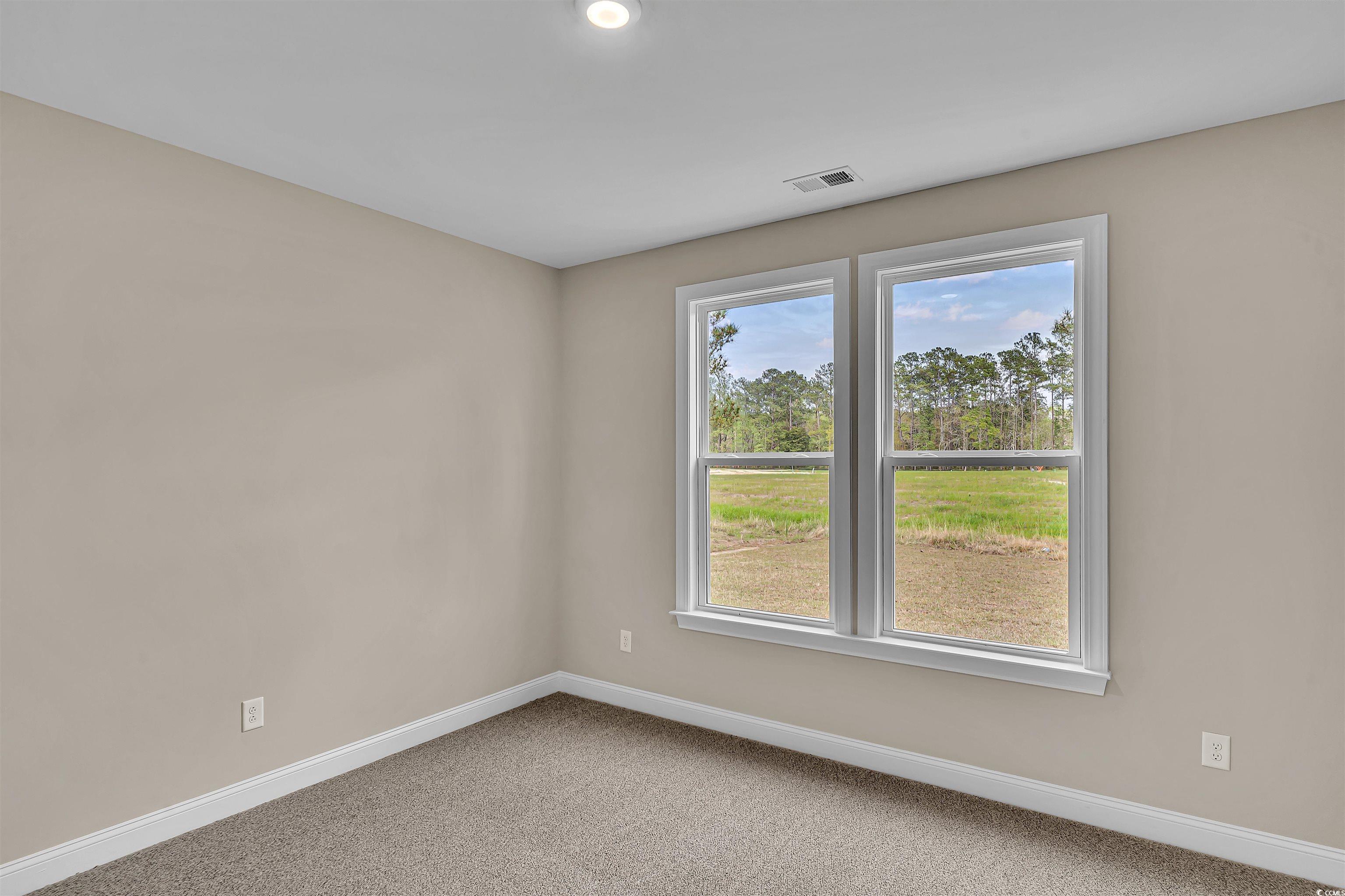 550 Beachside Circle Calabash, NC 28467 - Photo 28 of 39 Spare room with plenty of natural light and carpet floors