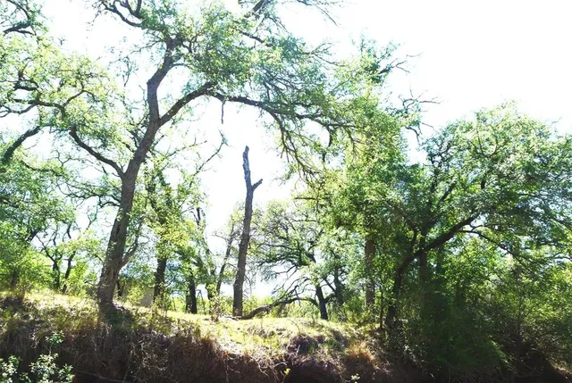 a backyard of a house