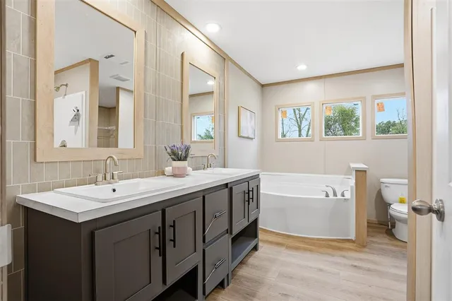 a bathroom with a sink a mirror a toilet and a bathtub