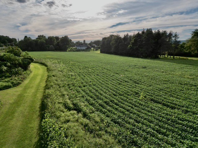 0 County Road Elmira, NY 14903 - Photo 8 of 11 Gallery Image 8