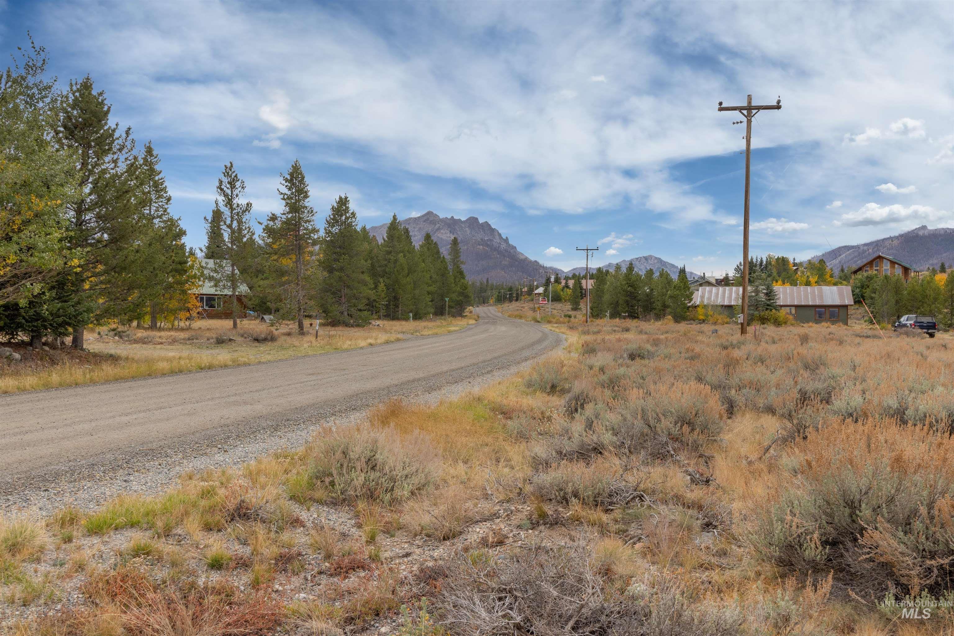 773 Smiley Creek Road Ketchum, ID 83340 - Photo 10 of 27 View of dirt / gravel road featuring a mountain view