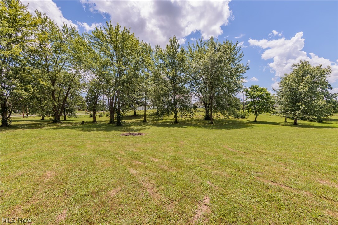 12709 Chamberlain Road Aurora, OH 44202 - Photo 33 of 34 View of yard