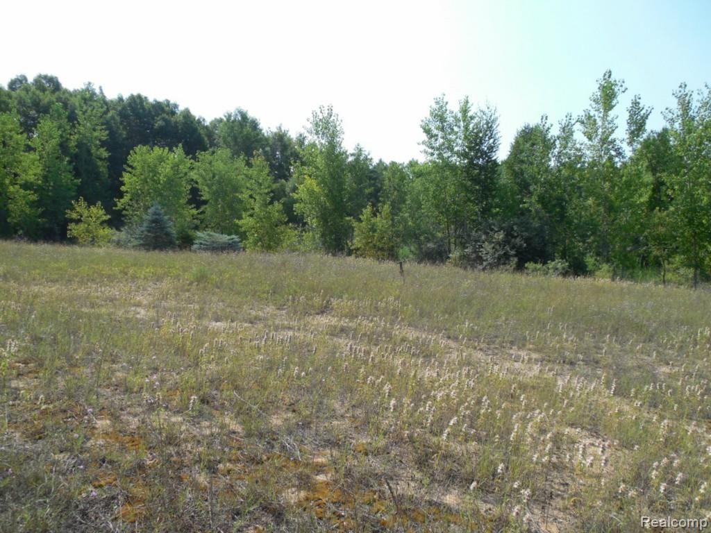 0 West Bliss Road Caro, MI 48723 - Photo 2 of 2