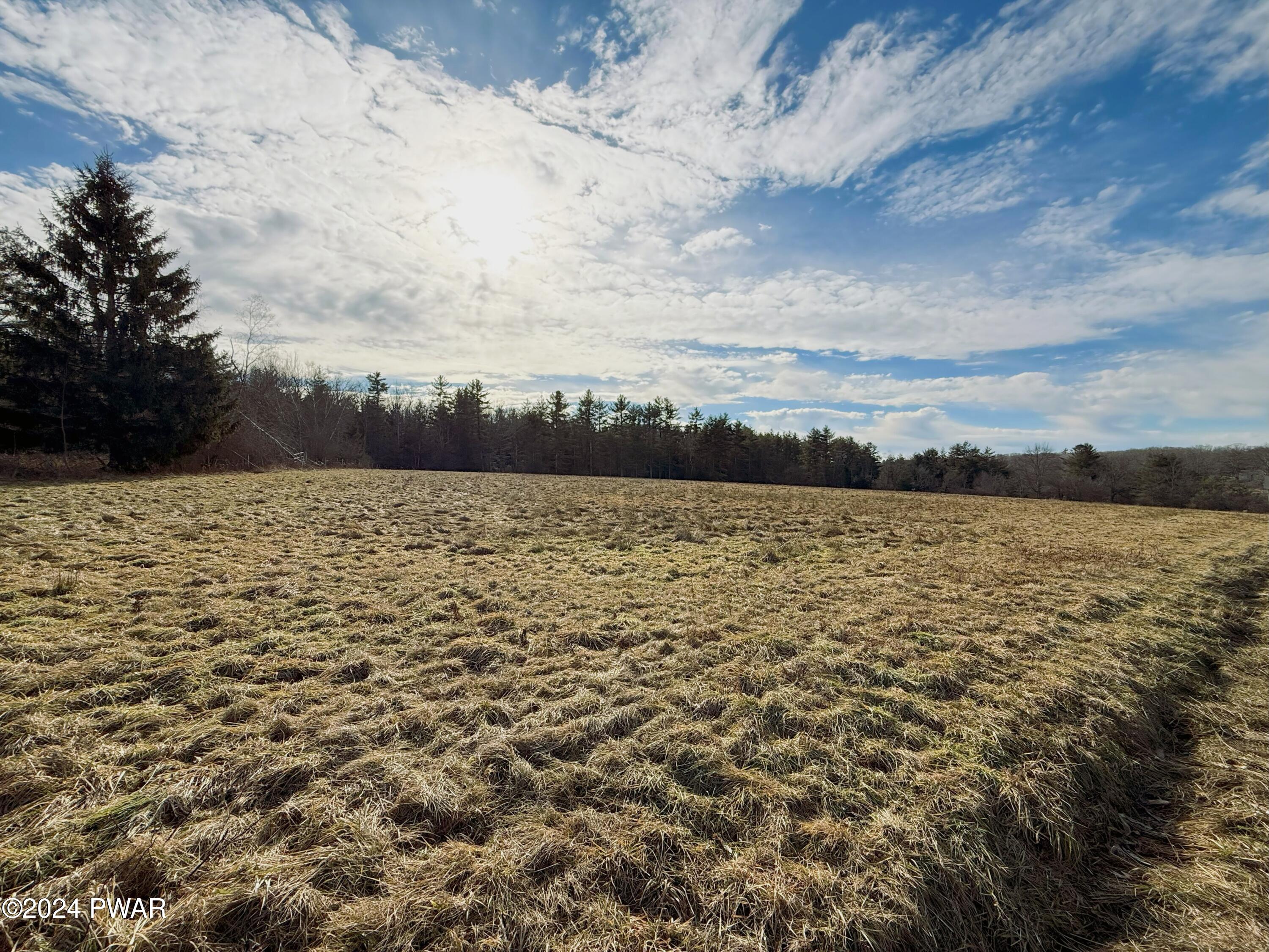 Swamp Brook Road Hawley, PA 18428 - Photo 8 of 12