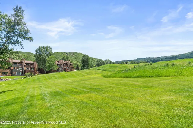 a view of a grassy field with trees