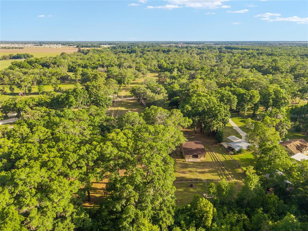 8117 Southwest 41st Place Road Ocala, FL 34481 - Photo 25 of 55